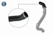 Ladeluftschlauch VAICO V30-2717