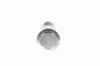 Spanner, Steuerkette VAICO V30-2808 Bild Spanner, Steuerkette VAICO V30-2808