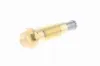 Spanner, Steuerkette VAICO V30-2850 Bild Spanner, Steuerkette VAICO V30-2850