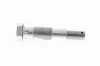 Spanner, Steuerkette VAICO V30-2853 Bild Spanner, Steuerkette VAICO V30-2853