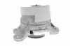 Lagerung, Motor vorne links VAICO V30-3262 Bild Lagerung, Motor vorne links VAICO V30-3262