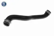 Kühlerschlauch oben VAICO V30-3460