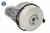 Lagerung, Motor links VAICO V30-4299