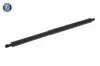 Gasfeder, Koffer-/Laderaum Fahrzeugheckklappe beidseitig VAICO V30-4458