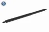 Gasfeder, Koffer-/Laderaum Fahrzeugheckklappe beidseitig VAICO V30-4458 Bild Gasfeder, Koffer-/Laderaum Fahrzeugheckklappe beidseitig VAICO V30-4458