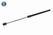 Gasfeder, Koffer-/Laderaum beidseitig VAICO V30-4556