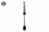 Gasfeder, Koffer-/Laderaum beidseitig VAICO V30-4558 Bild Gasfeder, Koffer-/Laderaum beidseitig VAICO V30-4558