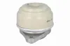 Lagerung, Motor vorne beidseitig VAICO V30-4641 Bild Lagerung, Motor vorne beidseitig VAICO V30-4641