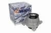 Lagerung, Motor vorne rechts VAICO V30-4846 Bild Lagerung, Motor vorne rechts VAICO V30-4846