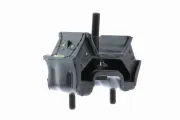 Lagerung, Motor vorne rechts VAICO V30-7442