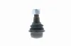 Trag-/Führungsgelenk unten Vorderachse VAICO V30-7602 Bild Trag-/Führungsgelenk unten Vorderachse VAICO V30-7602
