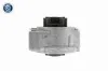 Lagerung, Motor hinten links VAICO V30-9917 Bild Lagerung, Motor hinten links VAICO V30-9917