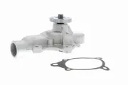 Wasserpumpe, Motorkühlung VAICO V33-50001