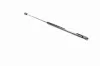 Gasfeder, Koffer-/Laderaum beidseitig VAICO V40-0620 Bild Gasfeder, Koffer-/Laderaum beidseitig VAICO V40-0620