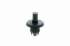 Spreizniet VAICO V40-0789 Bild Spreizniet VAICO V40-0789
