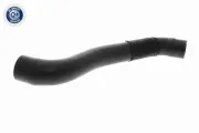Kühlerschlauch oben VAICO V40-1305