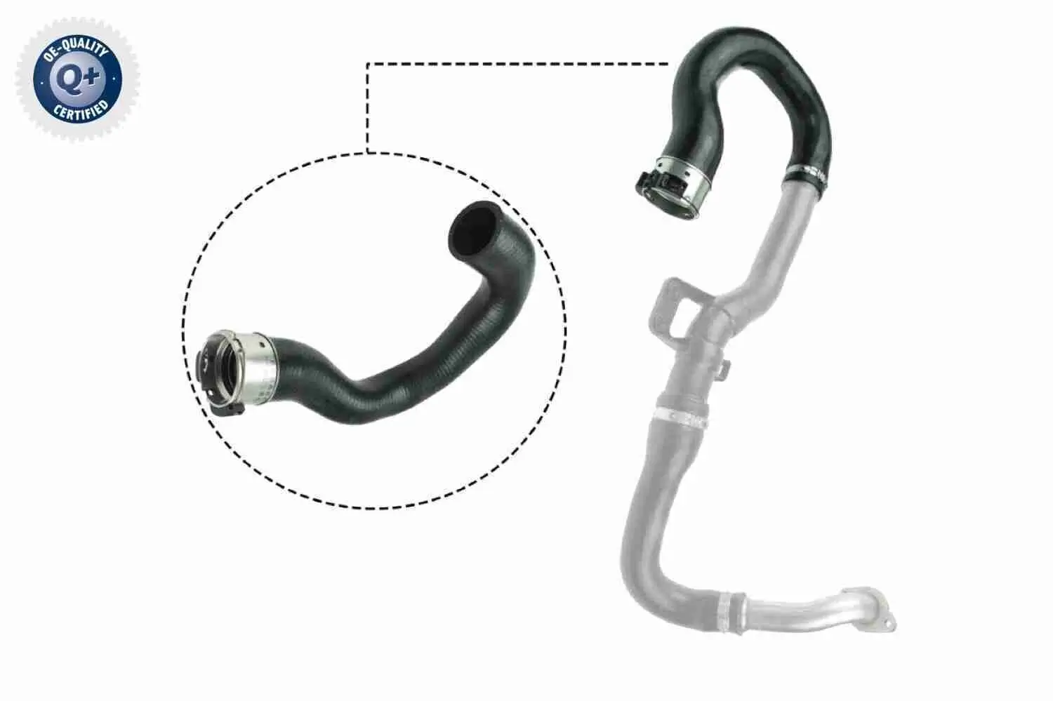 Ladeluftschlauch VAICO V40-1516