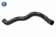Kühlerschlauch oben VAICO V40-1602