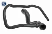 Kühlerschlauch unten VAICO V40-1608