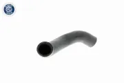 Kühlerschlauch oben VAICO V40-1754