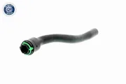 Kühlerschlauch VAICO V40-1776
