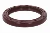 Wellendichtring, Kurbelwelle getriebeseitig VAICO V40-1799 Bild Wellendichtring, Kurbelwelle getriebeseitig VAICO V40-1799