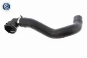 Kühlerschlauch rechts unten VAICO V40-2325