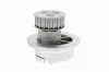 Wasserpumpe, Motorkühlung VAICO V40-50019 Bild Wasserpumpe, Motorkühlung VAICO V40-50019