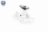 Wasserpumpe, Motorkühlung VAICO V40-50029 Bild Wasserpumpe, Motorkühlung VAICO V40-50029