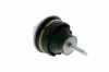 Lagerung, Motor vorne rechts VAICO V42-0005 Bild Lagerung, Motor vorne rechts VAICO V42-0005