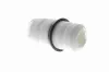 Anschlagpuffer, Federung Vorderachse VAICO V42-0474 Bild Anschlagpuffer, Federung Vorderachse VAICO V42-0474