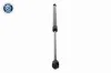 Gasfeder, Koffer-/Laderaum beidseitig VAICO V42-1132 Bild Gasfeder, Koffer-/Laderaum beidseitig VAICO V42-1132