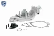 Wasserpumpe, Motorkühlung VAICO V45-50006