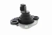Lagerung, Motor vorne rechts vorne VAICO V46-0260