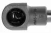 Gasfeder, Koffer-/Laderaum Fahrzeugheckklappe beidseitig VAICO V46-0857 Bild Gasfeder, Koffer-/Laderaum Fahrzeugheckklappe beidseitig VAICO V46-0857