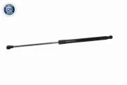 Gasfeder, Koffer-/Laderaum beidseitig VAICO V46-1850