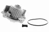 Wasserpumpe, Motorkühlung VAICO V48-50007