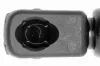 Gasfeder, Koffer-/Laderaum hinten VAICO V49-0014 Bild Gasfeder, Koffer-/Laderaum hinten VAICO V49-0014