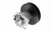Wasserpumpe, Motorkühlung VAICO V51-50005-1 Bild Wasserpumpe, Motorkühlung VAICO V51-50005-1