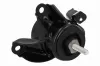 Lagerung, Motor rechts VAICO V53-0219