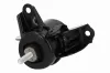 Lagerung, Motor rechts VAICO V53-0219 Bild Lagerung, Motor rechts VAICO V53-0219