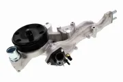 Wasserpumpe, Motorkühlung VAICO V57-50001
