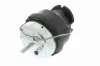 Lagerung, Motor hinten VAICO V95-0121 Bild Lagerung, Motor hinten VAICO V95-0121