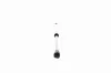 Gasfeder, Koffer-/Laderaum beidseitig VAICO V95-0122 Bild Gasfeder, Koffer-/Laderaum beidseitig VAICO V95-0122