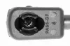 Gasfeder, Motorhaube VAICO V95-0190 Bild Gasfeder, Motorhaube VAICO V95-0190