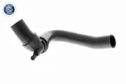 Kühlerschlauch oben VAICO V95-0280