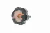 Verschlussdeckel, Ausgleichsbehälter-Servolenkung VAICO V95-0335 Bild Verschlussdeckel, Ausgleichsbehälter-Servolenkung VAICO V95-0335