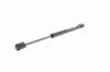 Gasfeder, Motorhaube Motorhaube beidseitig VAICO V95-0406 Bild Gasfeder, Motorhaube Motorhaube beidseitig VAICO V95-0406