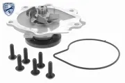 Wasserpumpe, Motorkühlung VAICO V95-50014