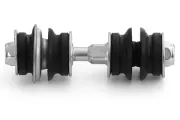 Stange/Strebe, Stabilisator Vorderachse vorne AISIN JRSPS-014